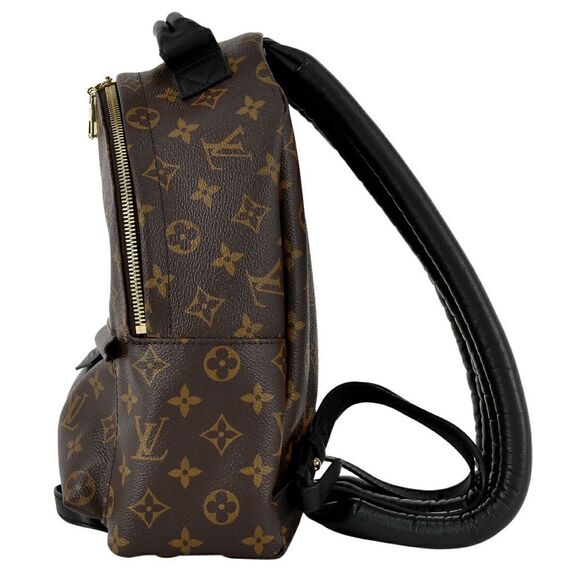 Louis Vuitton Palm Springs PM Rucksack Monogram Backpack - Picture 2 of 12